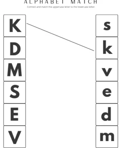Count and Write